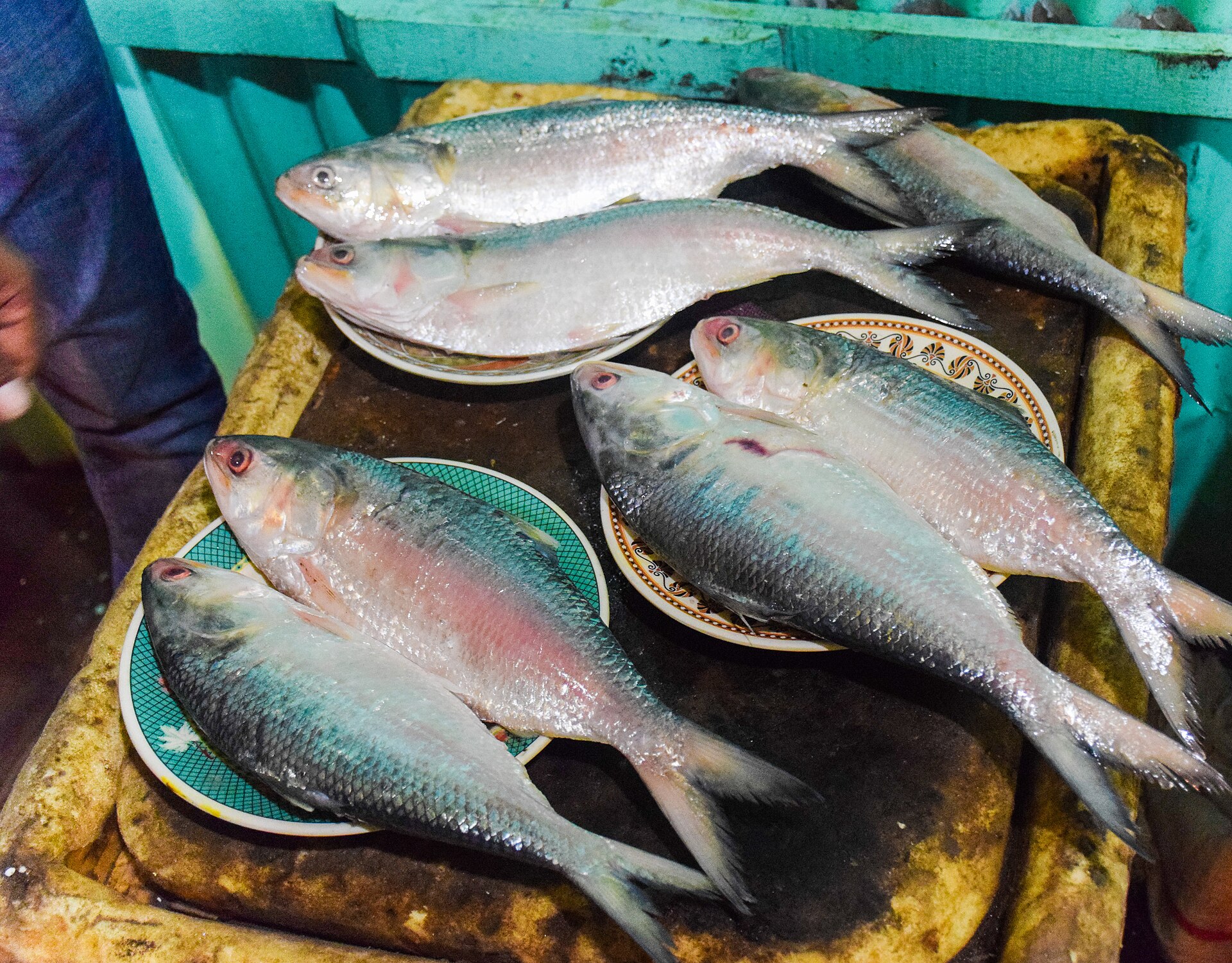 Bengal Fish Curry | India Travel Fresh fish are displayed on plates at a market, showcasing delicious Indian cuisine.